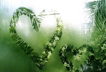 开云下载-中国乒乓球队碾压德国，波尔逆转奇迹再现：荣耀与坚持的故事