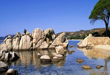 开云足球直播-日本羽毛球队逆转法国，谌龙“三分雨”燃爆全场，羽毛球盛宴震撼来袭