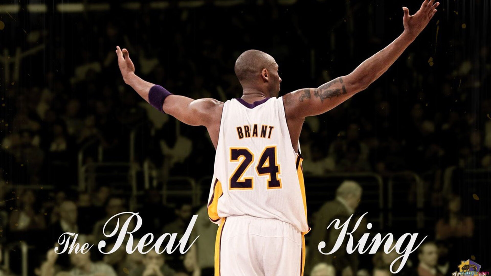 赛道上的孤勇者，威廉姆斯险胜哈斯，维斯塔潘扛起全队的双重启示